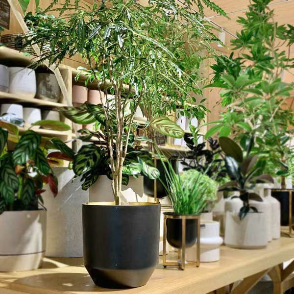 CLOVER アルミプランター Φ21 ブラック